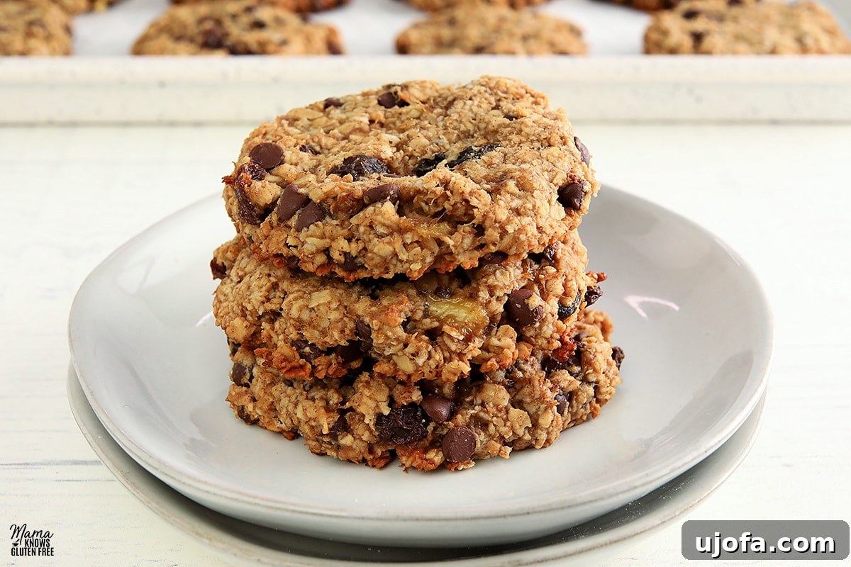 Gluten-free breakfast cookies stacked on a white plate with a tray of cookies in the background