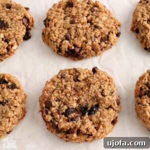 Gluten-Free Breakfast Cookies on a white baking sheet