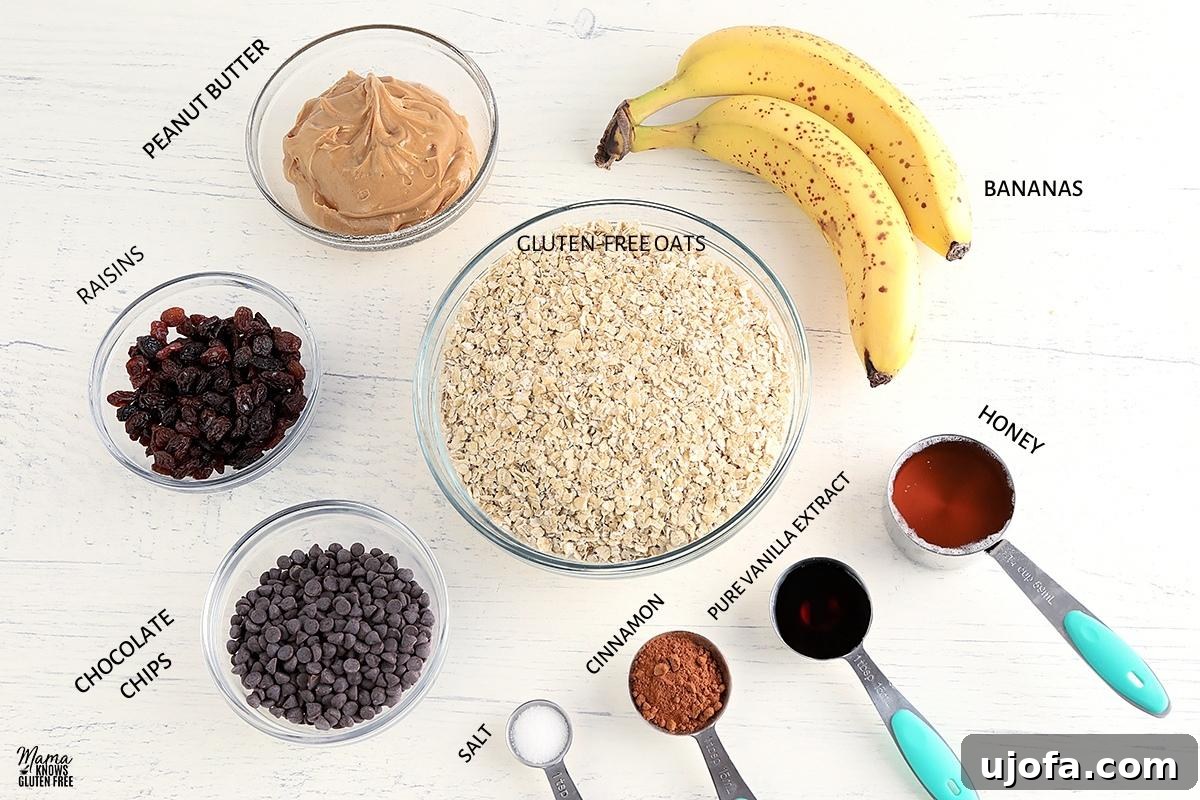 Gluten-free breakfast cookies recipe ingredients laid out