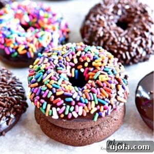 Two gluten-free chocolate donuts stacked on top of each other with 4 donuts in the background