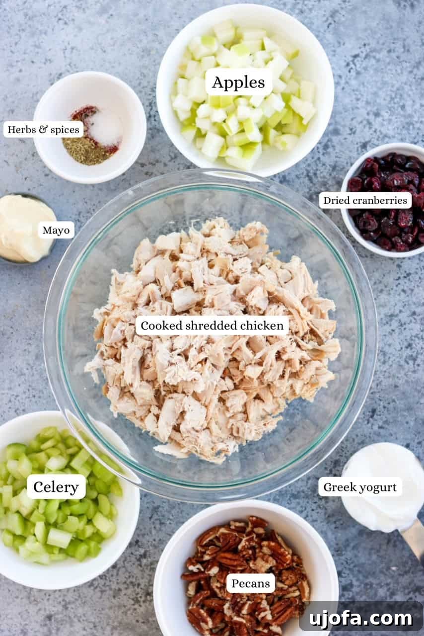Protein-Packed Cranberry Pecan Chicken Salad 3 A collection of fresh ingredients for cranberry pecan chicken salad displayed in nesting bowls: diced chicken, celery, apple, cranberries, pecans, and seasonings.