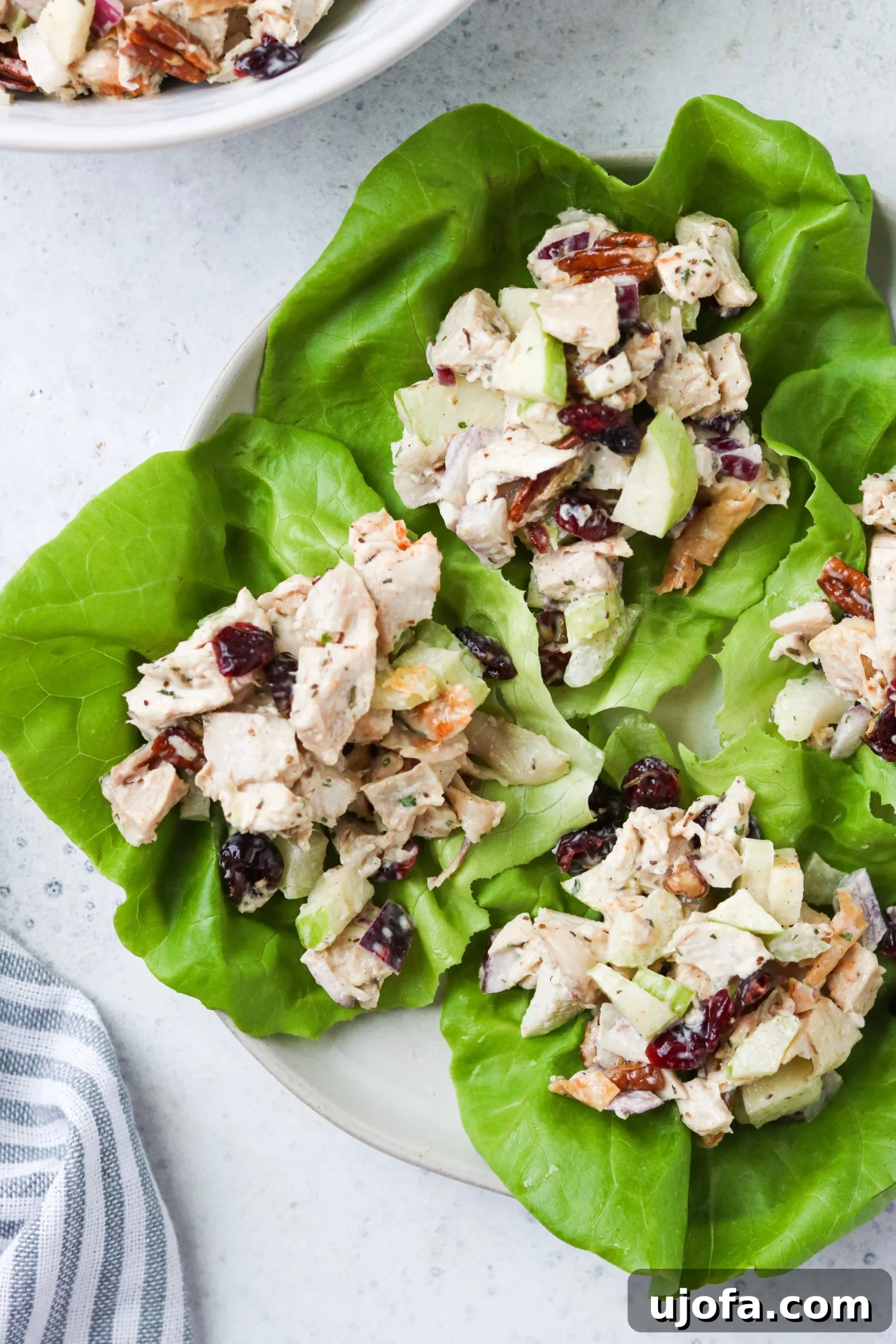 Protein-Packed Cranberry Pecan Chicken Salad 6 Two vibrant lettuce wraps generously filled with cranberry pecan chicken salad, presented on a white plate for a healthy meal.