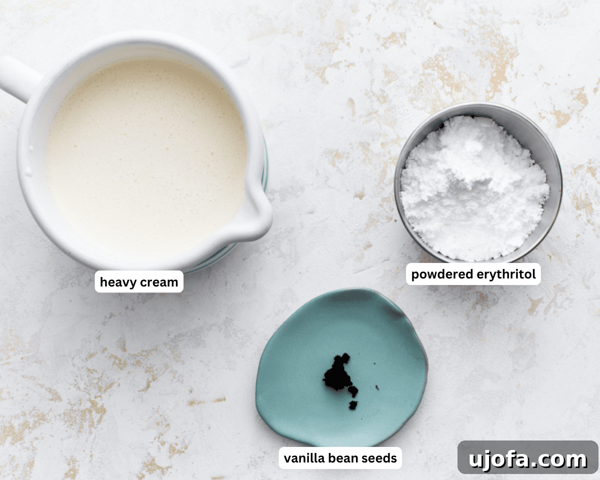 Keto Frozen Delights 3 keto ice cream ingredients