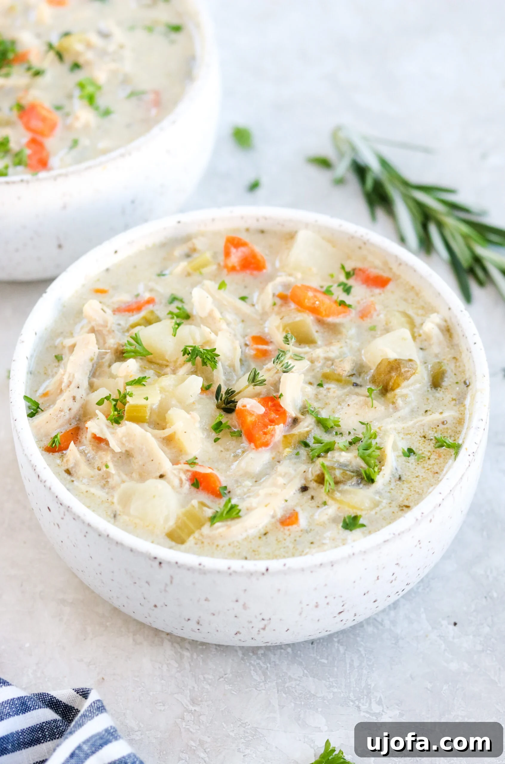 Wholesome Chicken Pot Pie Soup 2 Paleo Chicken Pot Pie Soup with chicken, carrots, celery, and herbs in a white bowl on a gray surface with rosemary