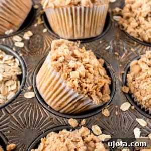 Close-up of banana oatmeal muffins in a rustic muffin tin, topped with a crumbly oat streusel and surrounded by scattered oats.