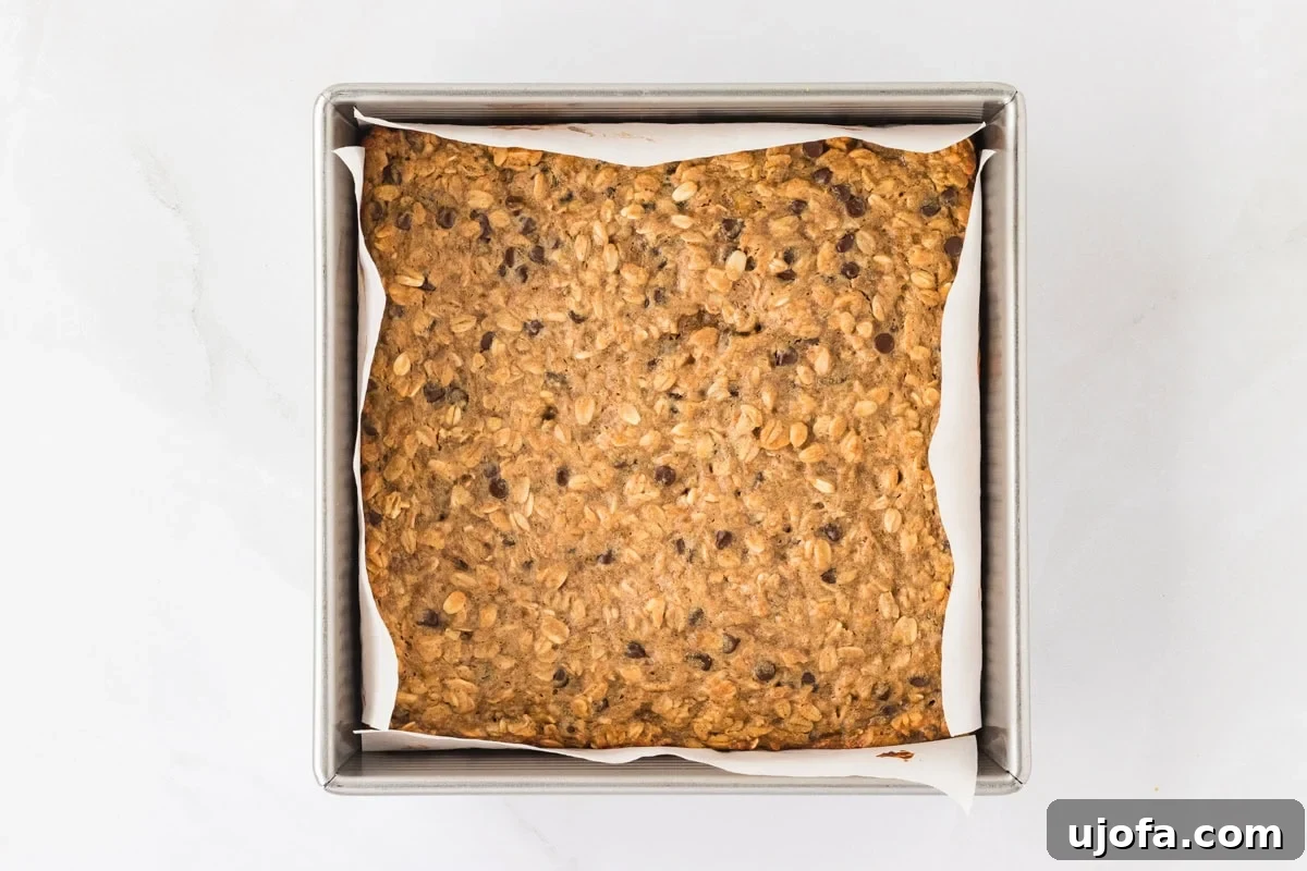 Golden Banana Oat Bars 12 A square baking pan lined with parchment paper containing freshly baked banana oatmeal bars with a golden-brown surface.