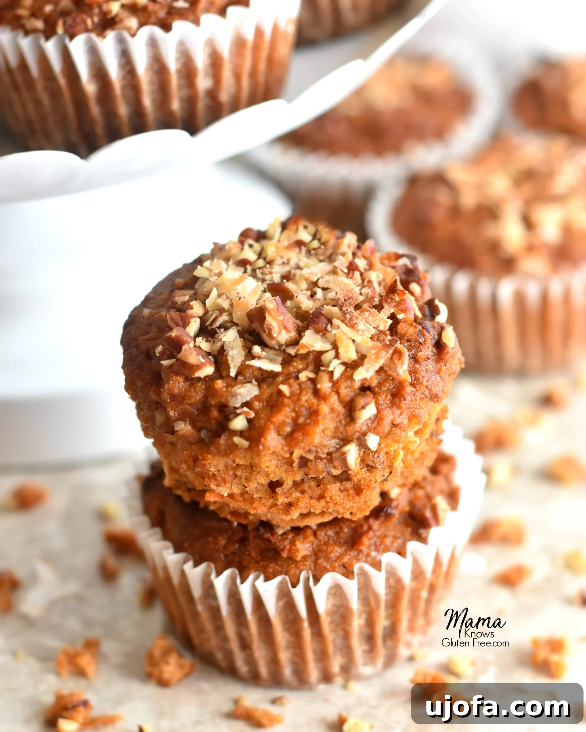 Wholesome Paleo Carrot Cake Muffins 2 Two perfectly baked Paleo carrot cake muffins, beautifully stacked, showcasing their moist, tender crumb and golden-brown tops, with more delicious muffins blurred in the background. Ideal for a healthy breakfast or dessert.