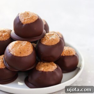 Finished Paleo Buckeye Balls, dipped in dark chocolate with a creamy filling peeking through, ready to be enjoyed.
