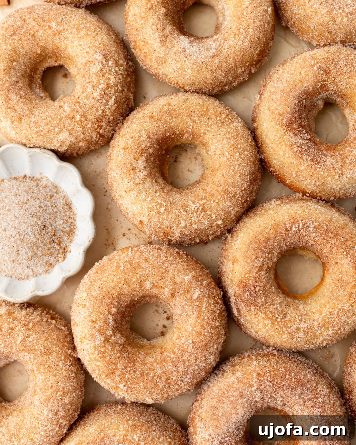 A close-up of freshly baked gluten-free cinnamon sugar donuts arranged on a parchment-lined surface, showing their golden brown texture with a light dusting of sugar. A small dish of cinnamon sugar sits nearby.
