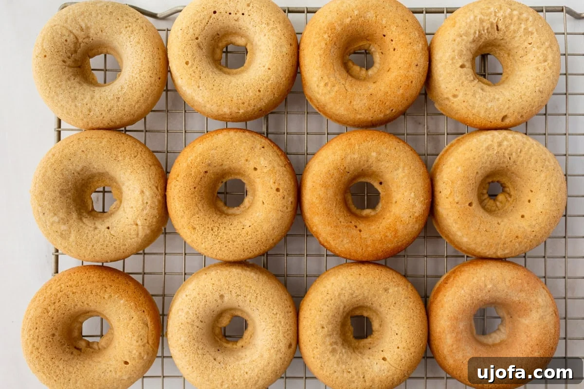 A dozen freshly baked gluten-free donuts resting on a wire rack before being coated, displaying a soft, golden-brown exterior.