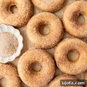 A close-up of freshly baked gluten-free cinnamon sugar donuts arranged on a parchment-lined surface, showing their golden brown texture with a light dusting of sugar. A small dish of cinnamon sugar sits nearby.