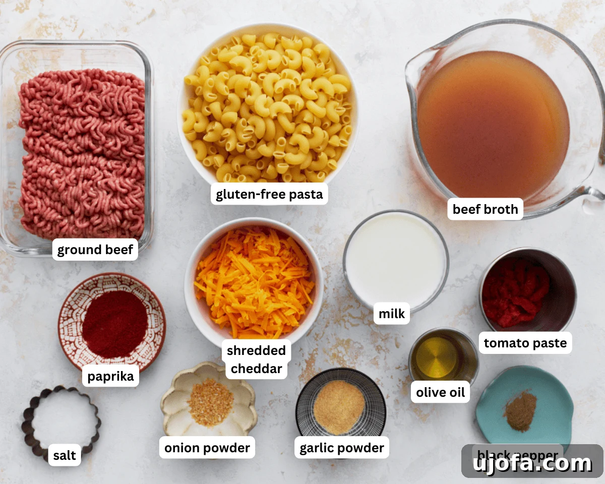 A collection of gluten-free hamburger helper ingredients neatly arranged on a countertop, including ground beef, gluten-free pasta, tomato paste, spices, broth, milk, and cheddar cheese.