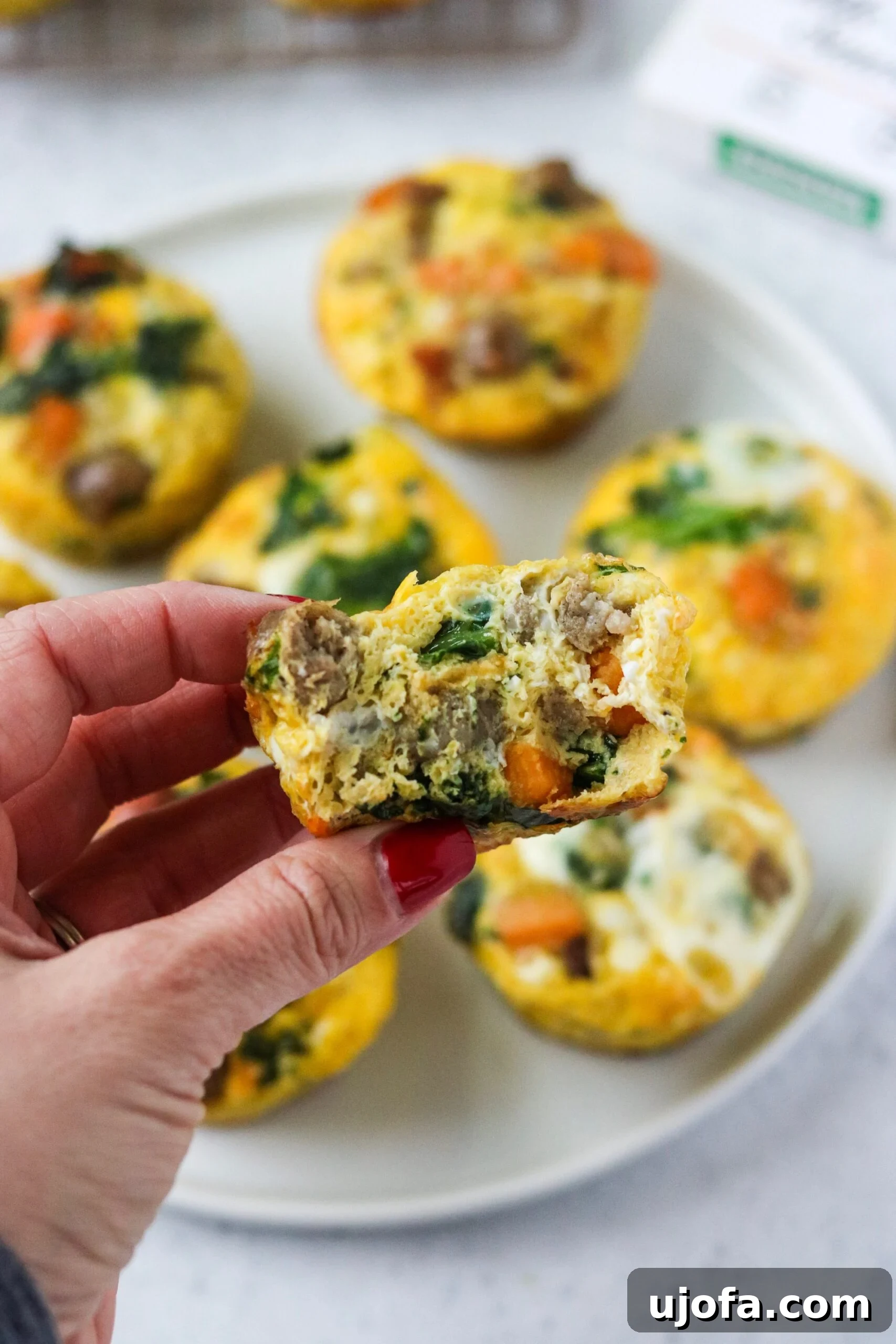 Savory Sausage, Sweet Potato, and Kale Egg Bites Whole30 Paleo 8 Close-up of a sausage, sweet potato, and kale egg cup, showcasing its delicious layers.