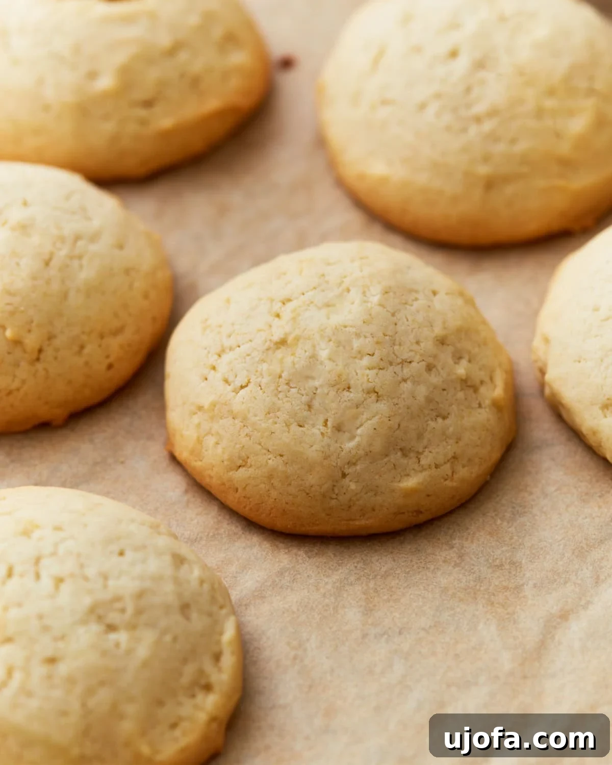 Pure Vanilla Gluten-Free Wafers 2 Close-up of freshly baked gluten-free vanilla wafers on parchment paper, golden brown with soft, rounded tops.