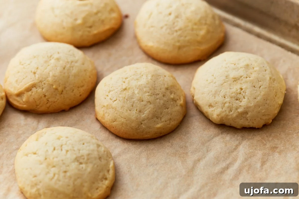 Pure Vanilla Gluten-Free Wafers 10 Close-up of gluten-free vanilla wafers, one cookie broken in half to reveal the soft interior.