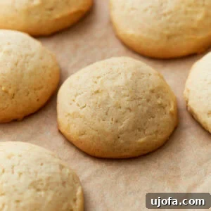 Pure Vanilla Gluten-Free Wafers 3 Close-up of freshly baked gluten-free vanilla wafers on parchment paper, golden brown with soft, rounded tops.