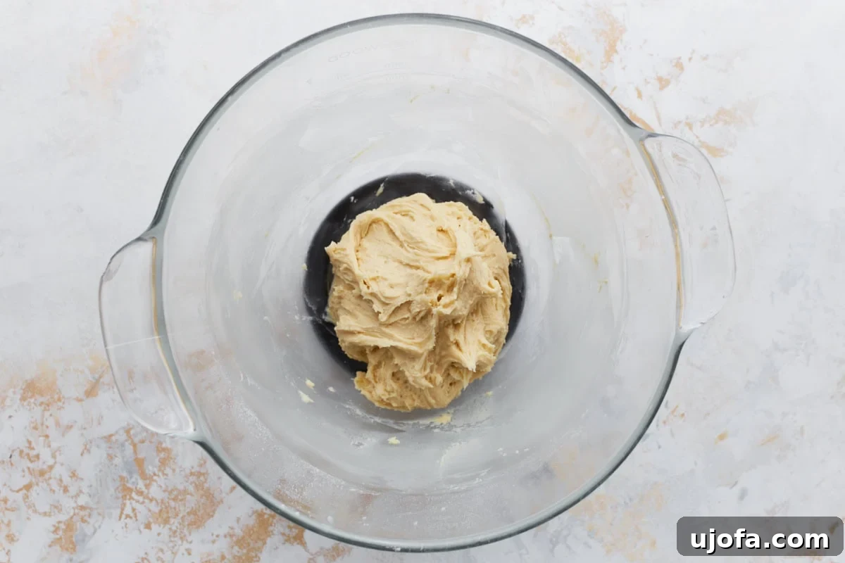 Pure Vanilla Gluten-Free Wafers 7 Cookie dough after dry ingredients have been incorporated, forming a thick and fluffy dough.