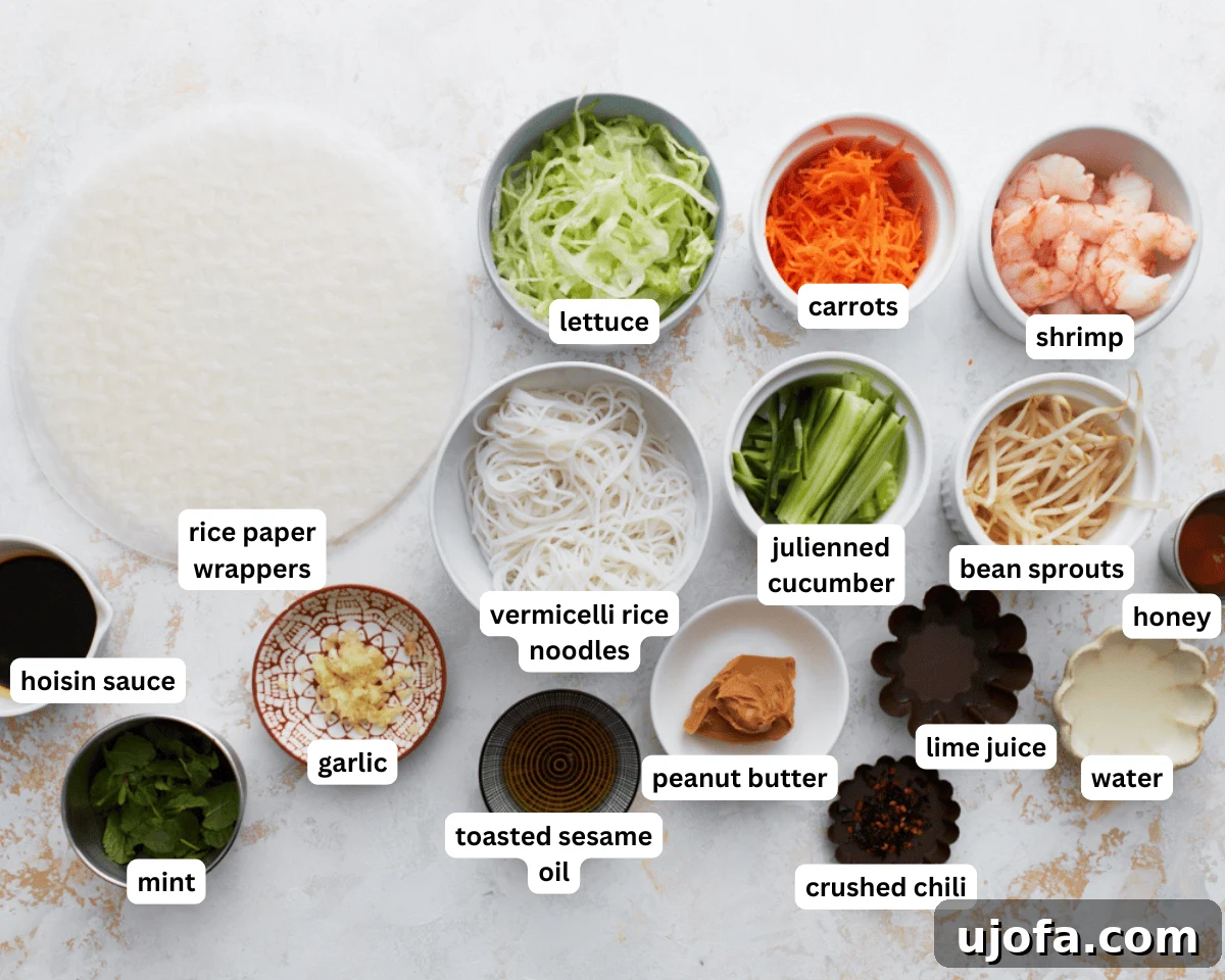 Vietnamese summer rolls ingredients