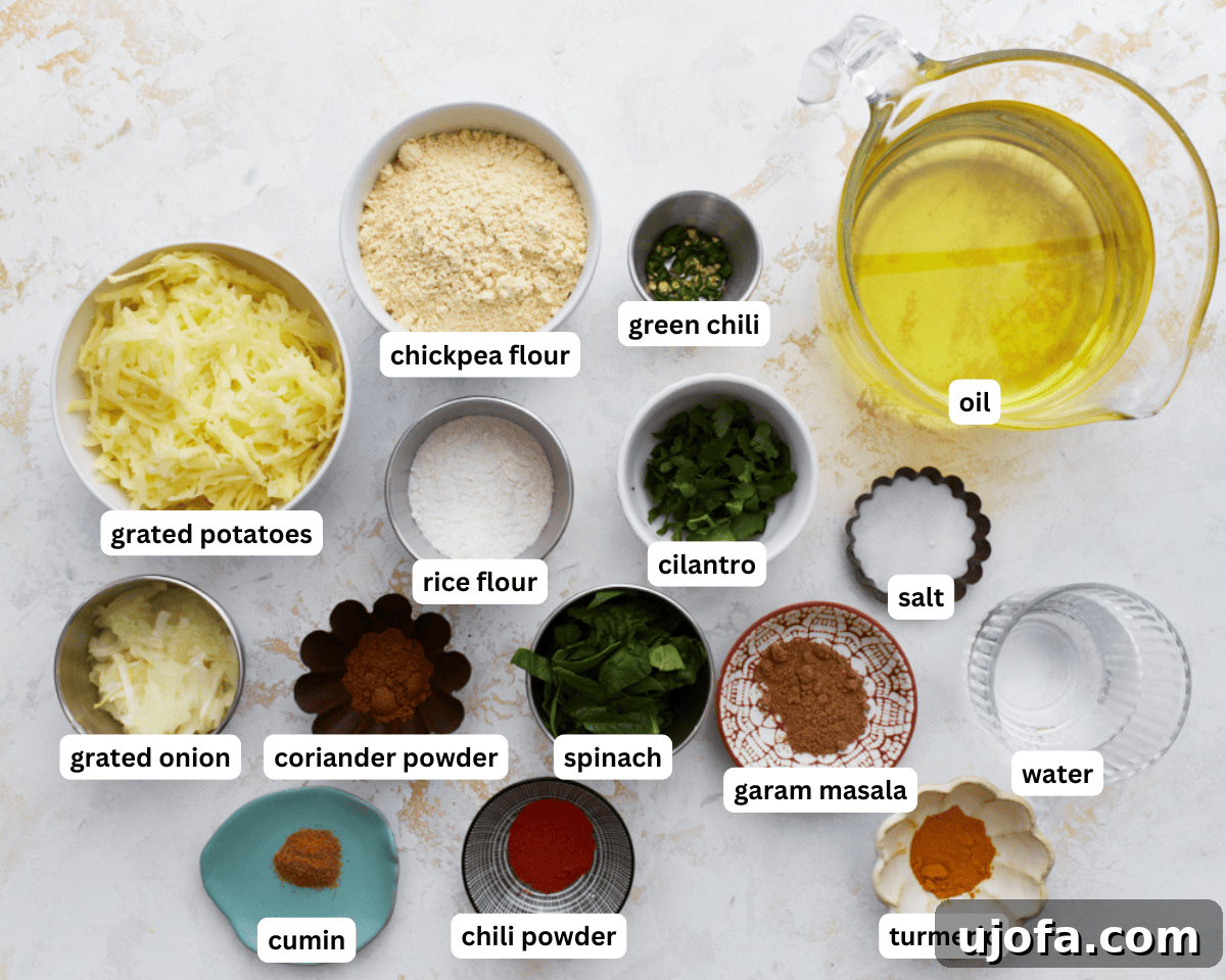 Savory Golden Crisps 4 Pakora ingredients