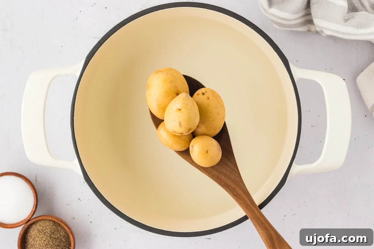 French Riviera Tuna Salad 8 Golden baby potatoes in a cream-colored pot on a wooden spoon, ready to be boiled.