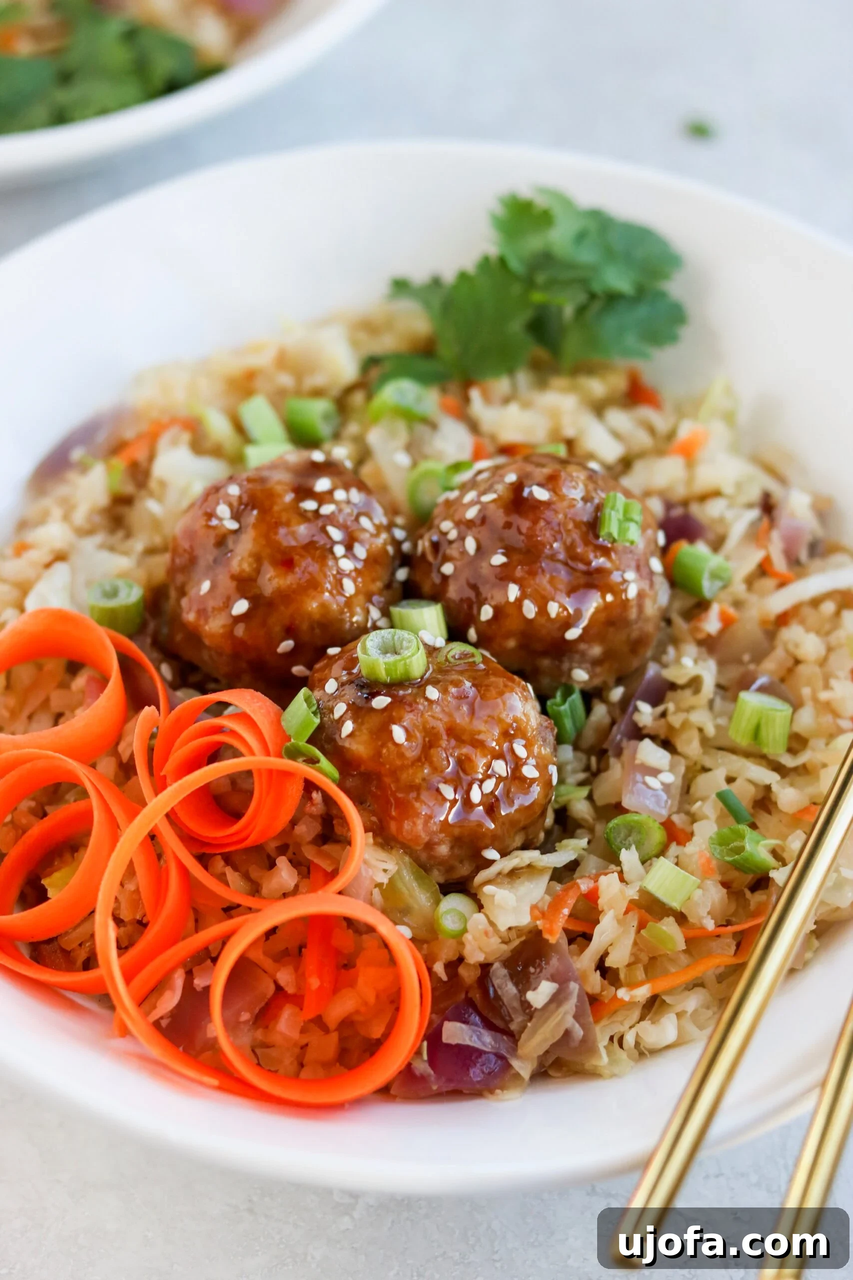 Close-up of Asian Pork Meatball Bowls with a drizzle of sticky sauce.