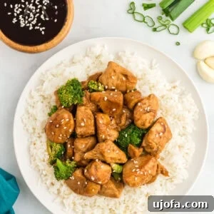 Craft Your Own Gluten-Free Hoisin Sauce 3 Plate of chicken and broccoli stir-fry served over white rice, garnished with sesame seeds, with a bowl of hoisin sauce, green onions, and garlic cloves on the side.