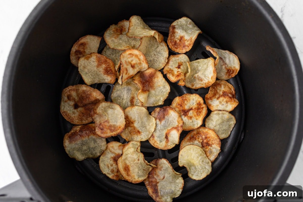 Freshly cooked potato chips, golden brown and perfectly curled at the edges, visible inside the air fryer basket immediately after cooking.