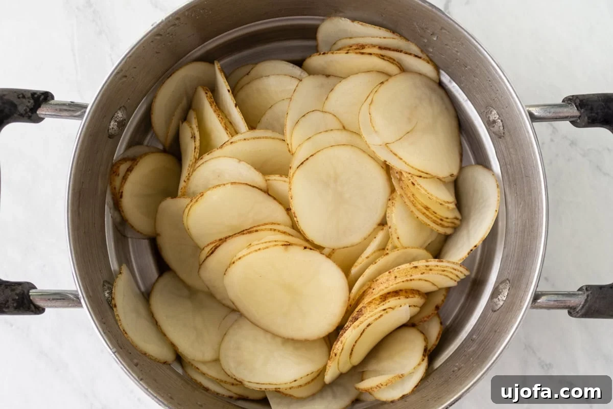 Drained and thoroughly rinsed potato slices resting in a metal pot, appearing dry and ready for the next preparation stage before air frying.