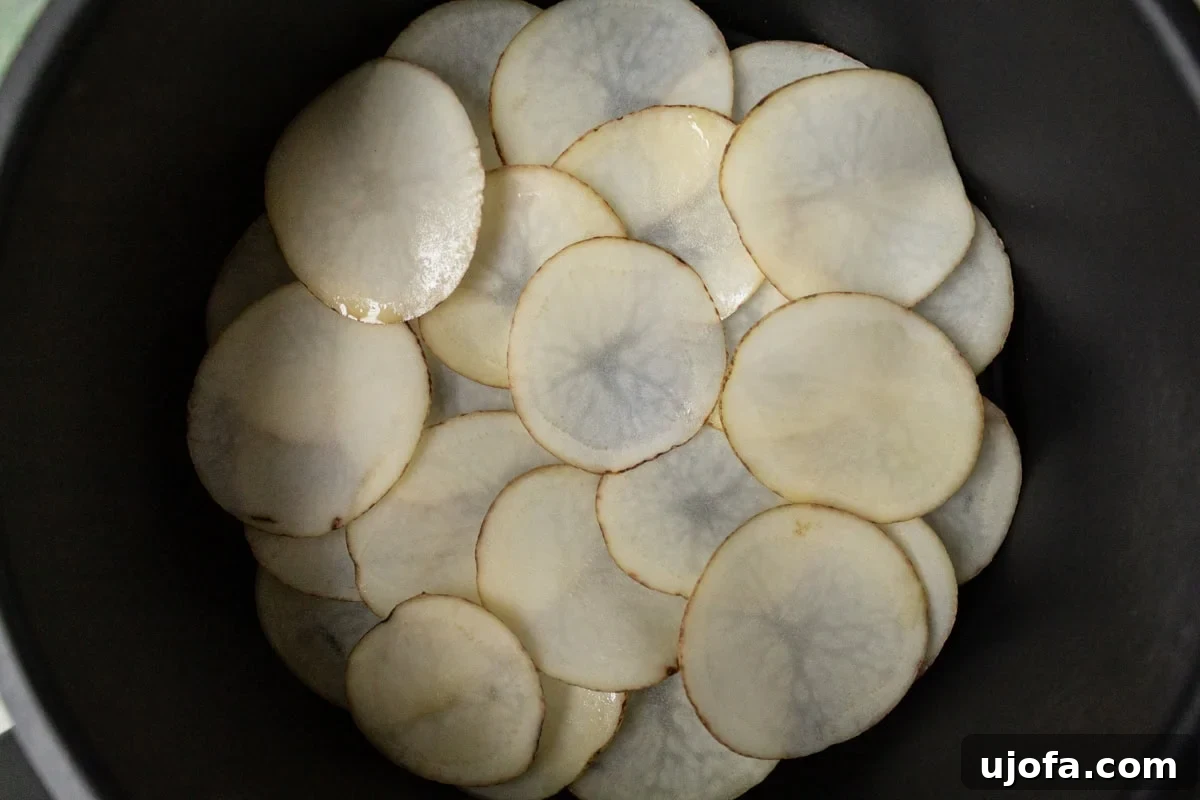 Perfectly arranged potato slices in two neat, slightly overlapping layers within an air fryer basket, ready for cooking to ensure even crisping.