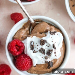 Paleo Vegan Chocolate Mousse