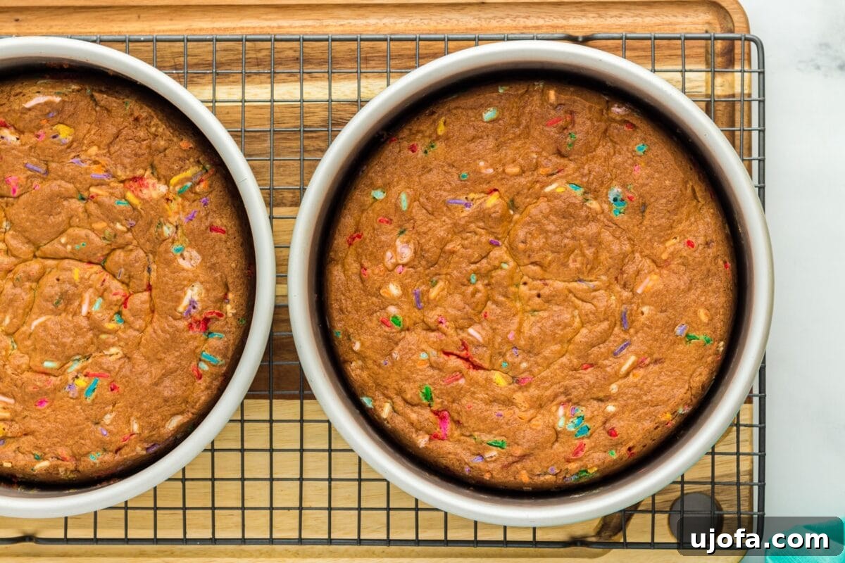 A detailed top view of the baked gluten-free funfetti cake, showing the browned crust and melted rainbow sprinkles.