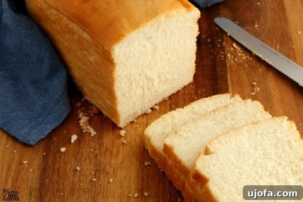 Three slices of gluten-free bread with a full loaf in the background, showcasing its texture.