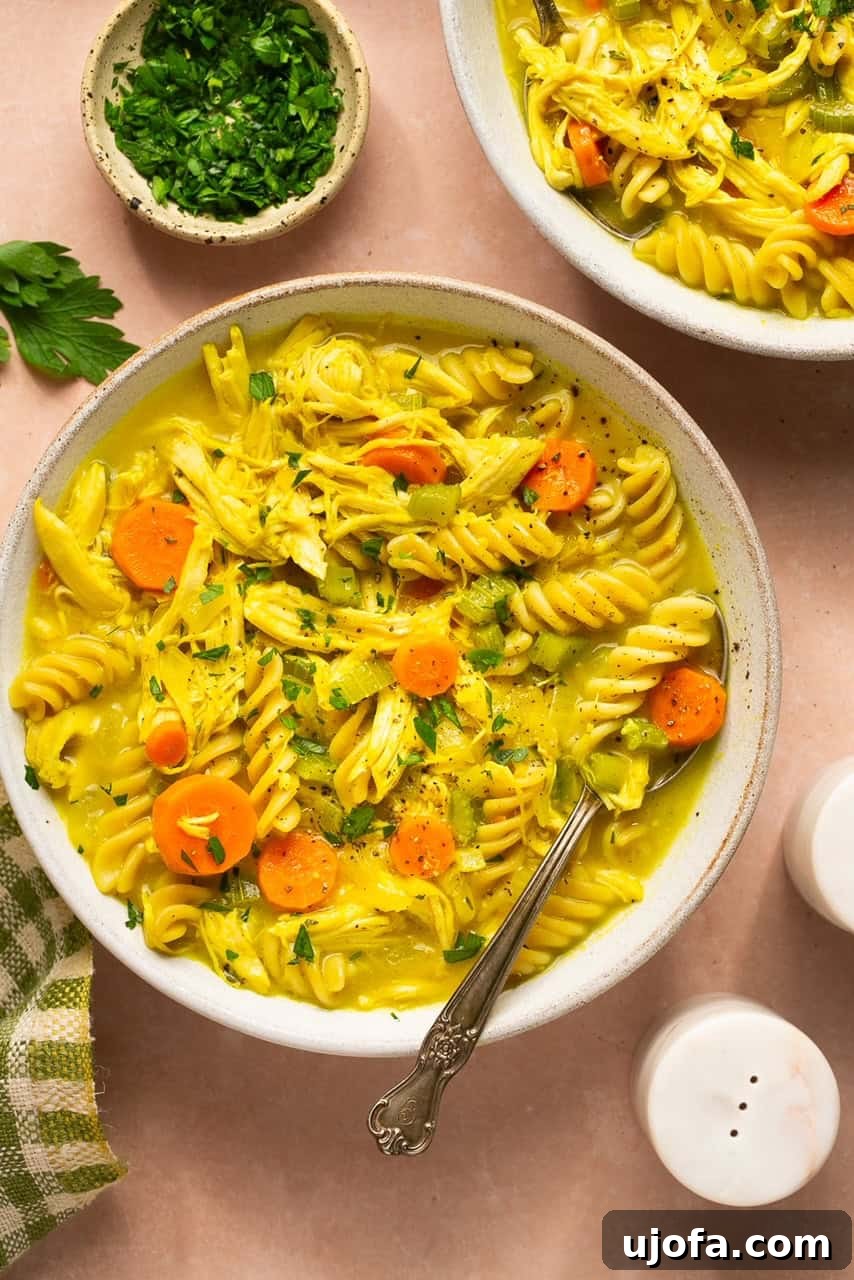 Hearty Gluten-Free Chicken Soup From Scratch 2 Two steaming bowls of homemade gluten-free chicken soup, brimming with tender chicken, colorful carrots, and gluten-free noodles, garnished with fresh herbs.