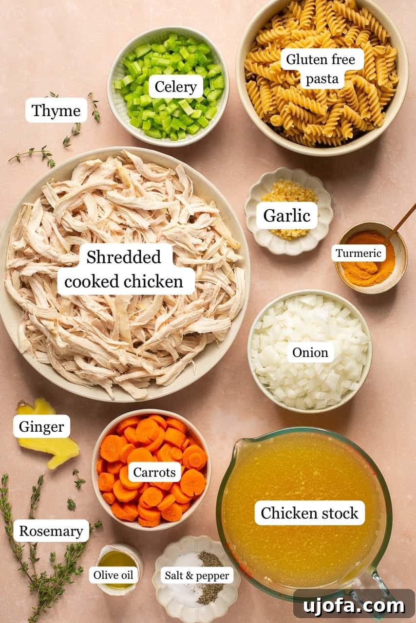 Hearty Gluten-Free Chicken Soup From Scratch 3 A collection of fresh ingredients for homemade gluten-free chicken soup: a whole chicken, carrots, celery, onion, garlic, ginger, fresh herbs, and spices arranged in small bowls.