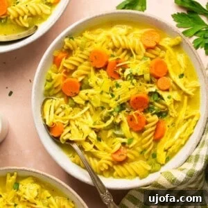 Hearty Gluten-Free Chicken Soup From Scratch 8 A comforting bowl of gluten-free chicken noodle soup with fresh parsley garnish, ready to be enjoyed.