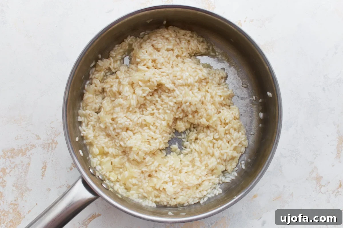 Gluten-Free Risotto Bliss 9 The risotto mixture beginning to develop a creamy consistency as hot broth is slowly added and stirred into the rice.