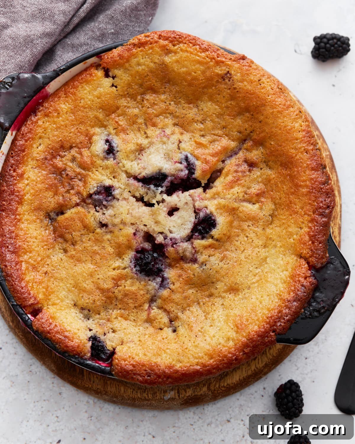 Overhead view of a golden-brown gluten-free blackberry cobbler freshly baked in a round black dish, with vibrant blackberries peeking through the delectable crust, inviting you to take a bite.