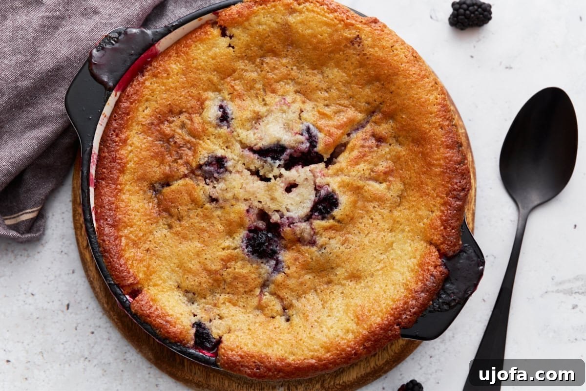 A close-up shot of the finished gluten-free blackberry cobbler, highlighting its crispy golden edges, soft fluffy center, and succulent blackberries peeking through, inviting a closer look.