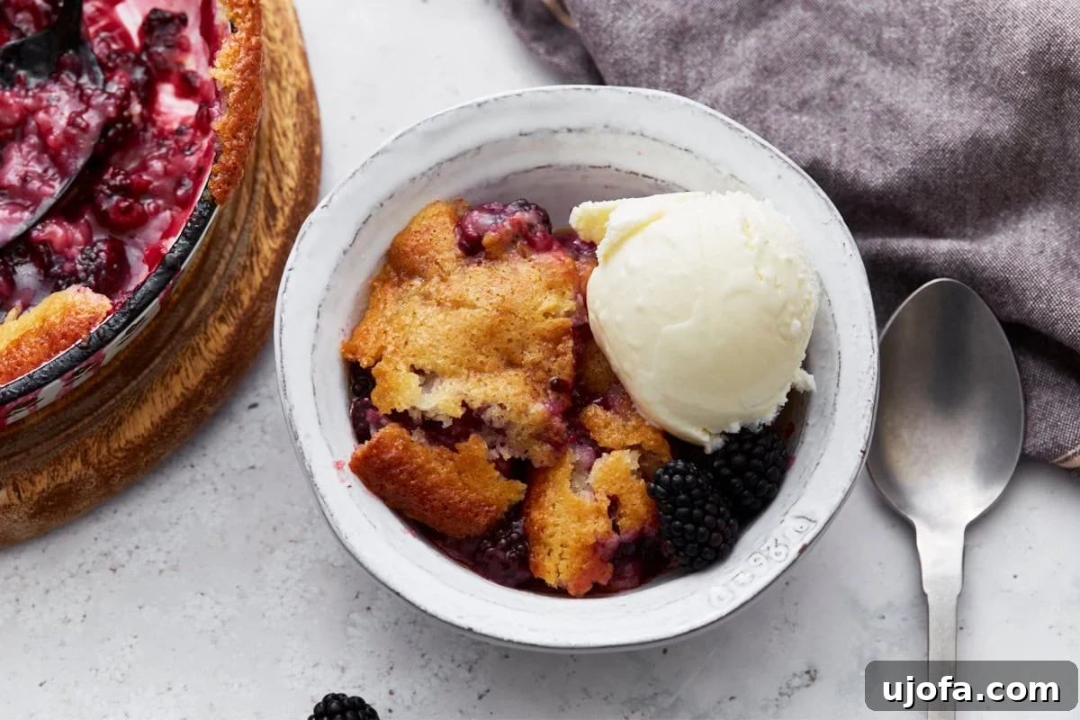 A serving of warm blackberry cobbler in a white bowl, elegantly topped with a generous scoop of melting vanilla ice cream and garnished with a few fresh blackberries for a touch of freshness and color.