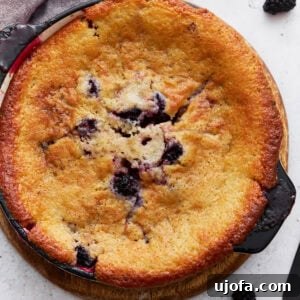 Overhead view of a golden-brown gluten-free blackberry cobbler freshly baked in a round black dish, with vibrant blackberries peeking through the delicious crust.