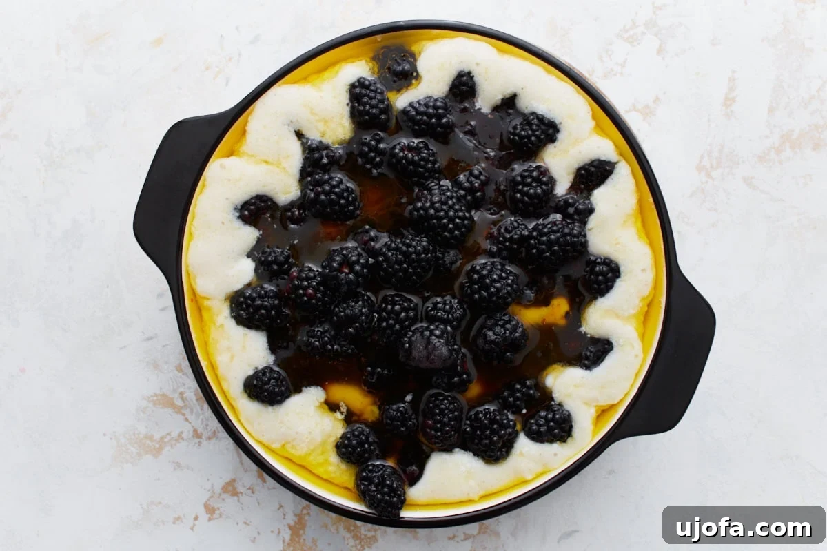 Fresh, juicy blackberries are delicately arranged on top of the cobbler batter in the baking dish, creating a vibrant purple layer ready for baking.
