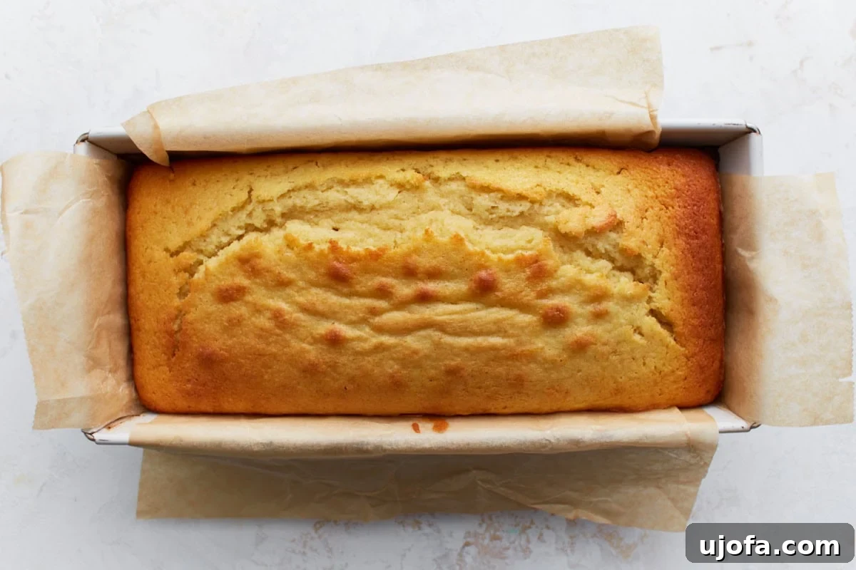 Freshly baked lemon loaf in the loaf pan with a golden brown top.