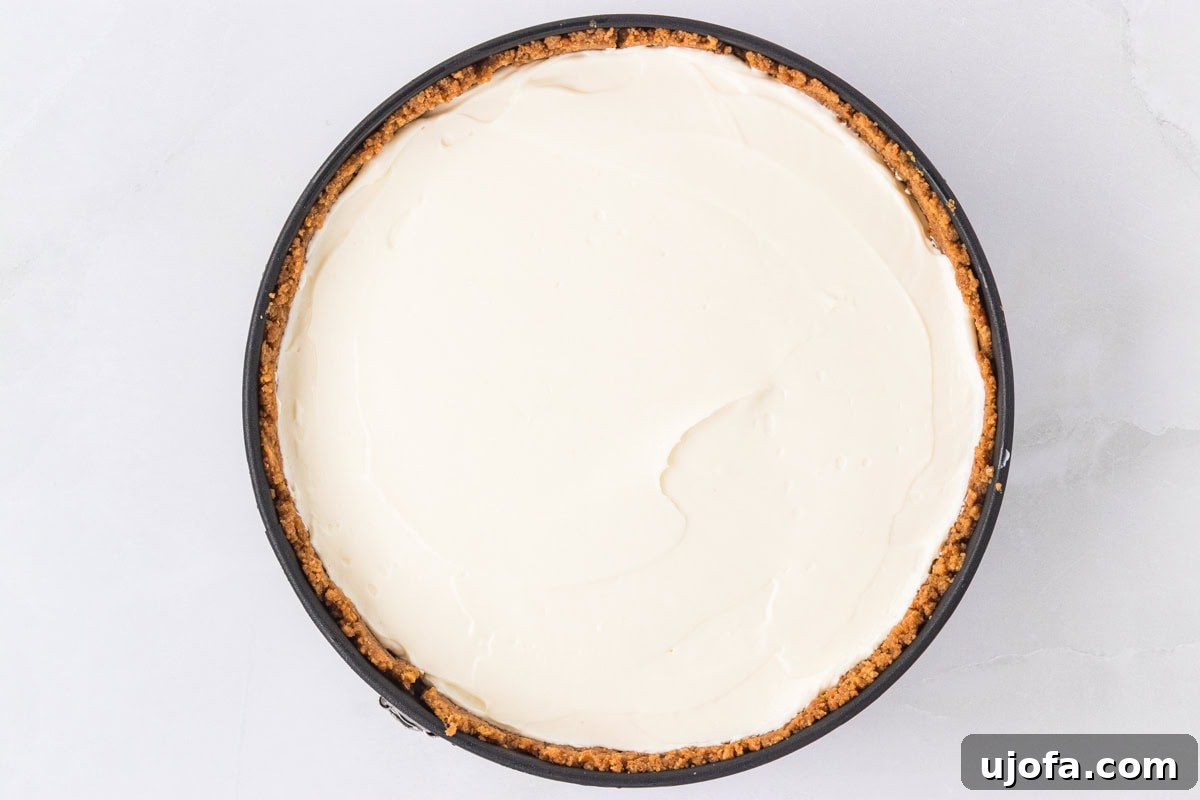 No-Oven Gluten-Free Cheesecake Bliss 12 No-bake cheesecake filling spread evenly in the prepared graham cracker crust in a springform pan, ready to chill.