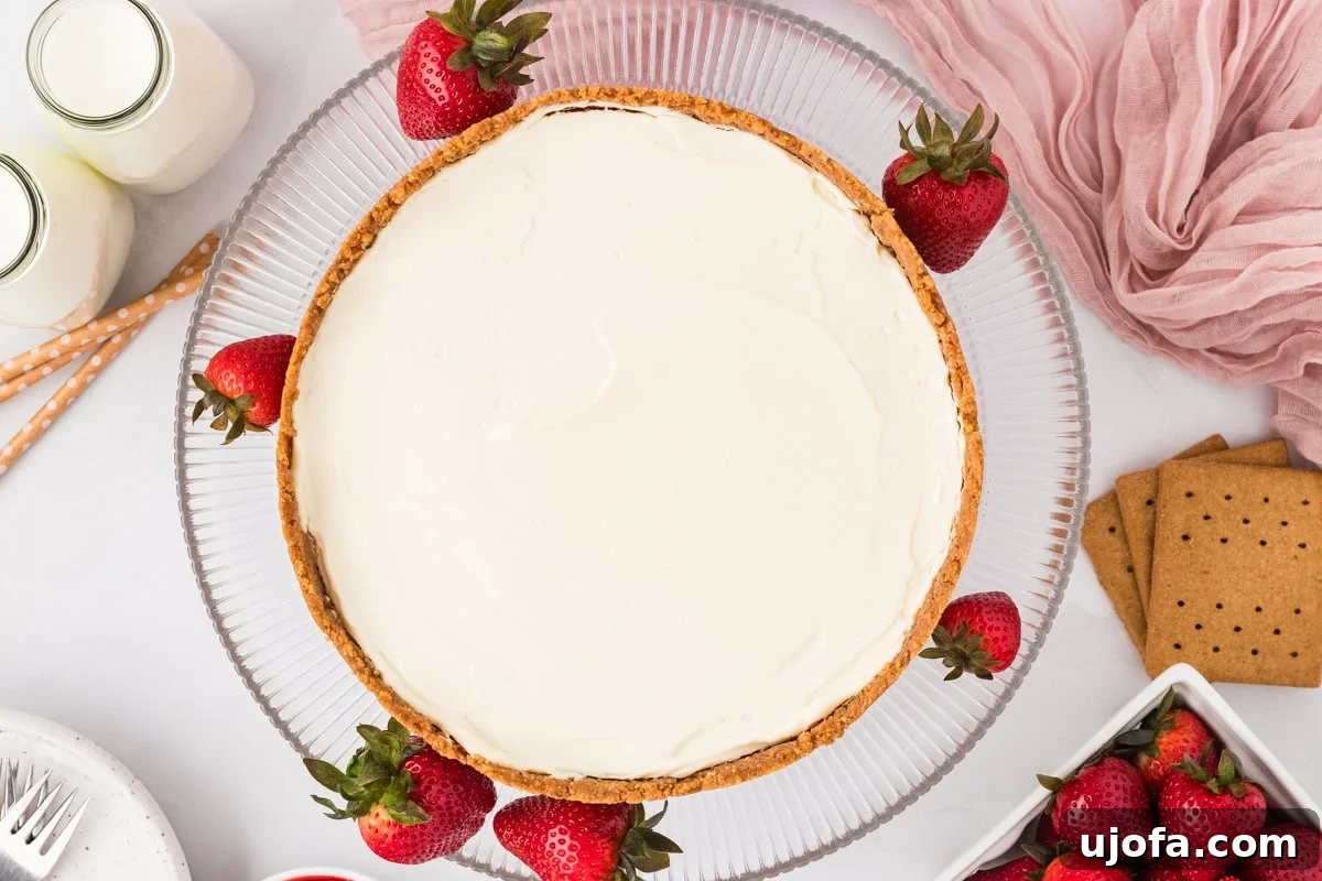 No-Oven Gluten-Free Cheesecake Bliss 13 A whole gluten-free no-bake cheesecake on a glass platter, garnished with fresh strawberries around the edges, with graham crackers, pink linen, and bottles of milk nearby.