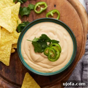 Bowl of creamy cashew queso dip topped with fresh cilantro and sliced jalapeños, surrounded by tortilla chips and cilantro on a wooden board.