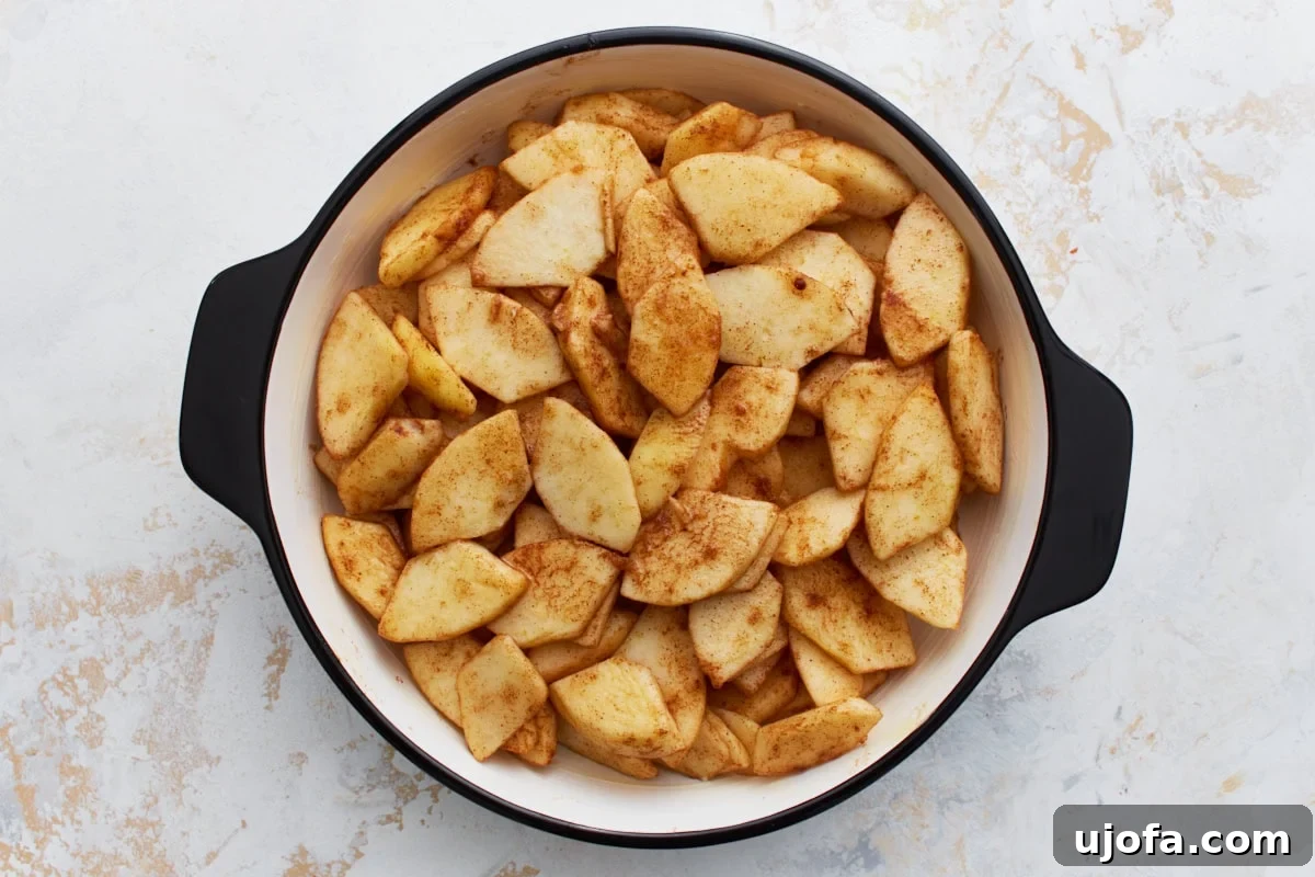 Easy Crustless Apple Pie 6 Seasoned apple slices arranged evenly in the bottom of a round black-handled baking dish.
