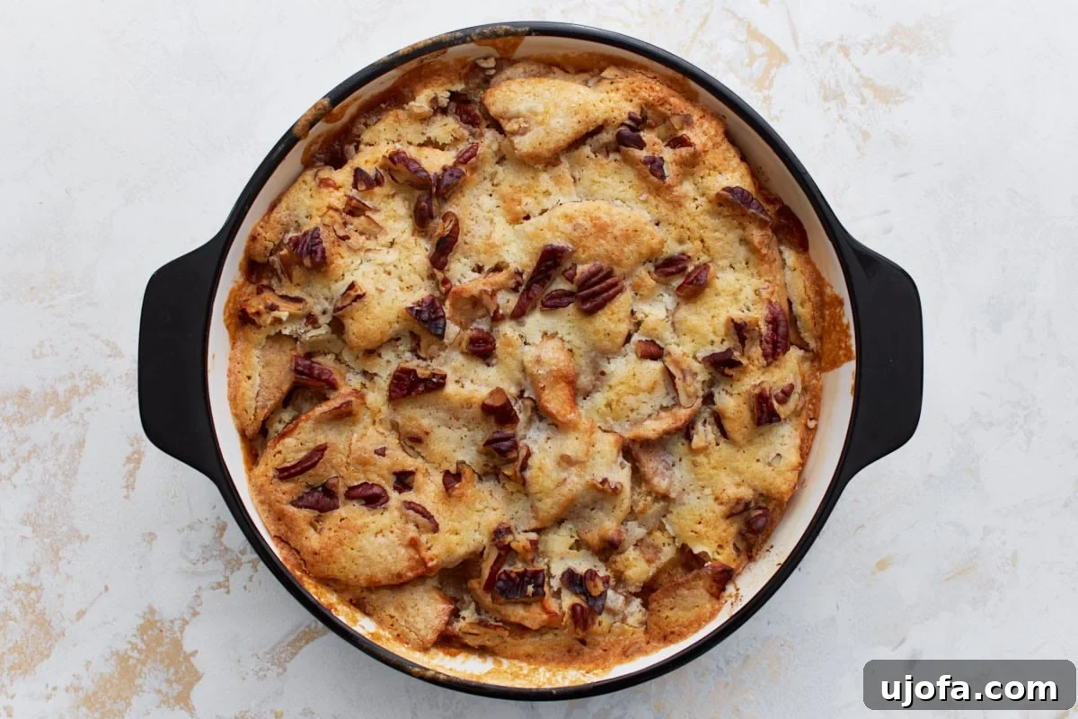 Easy Crustless Apple Pie 8 Freshly baked crustless apple pie with a golden-brown top and toasted pecans, still in the round baking dish.