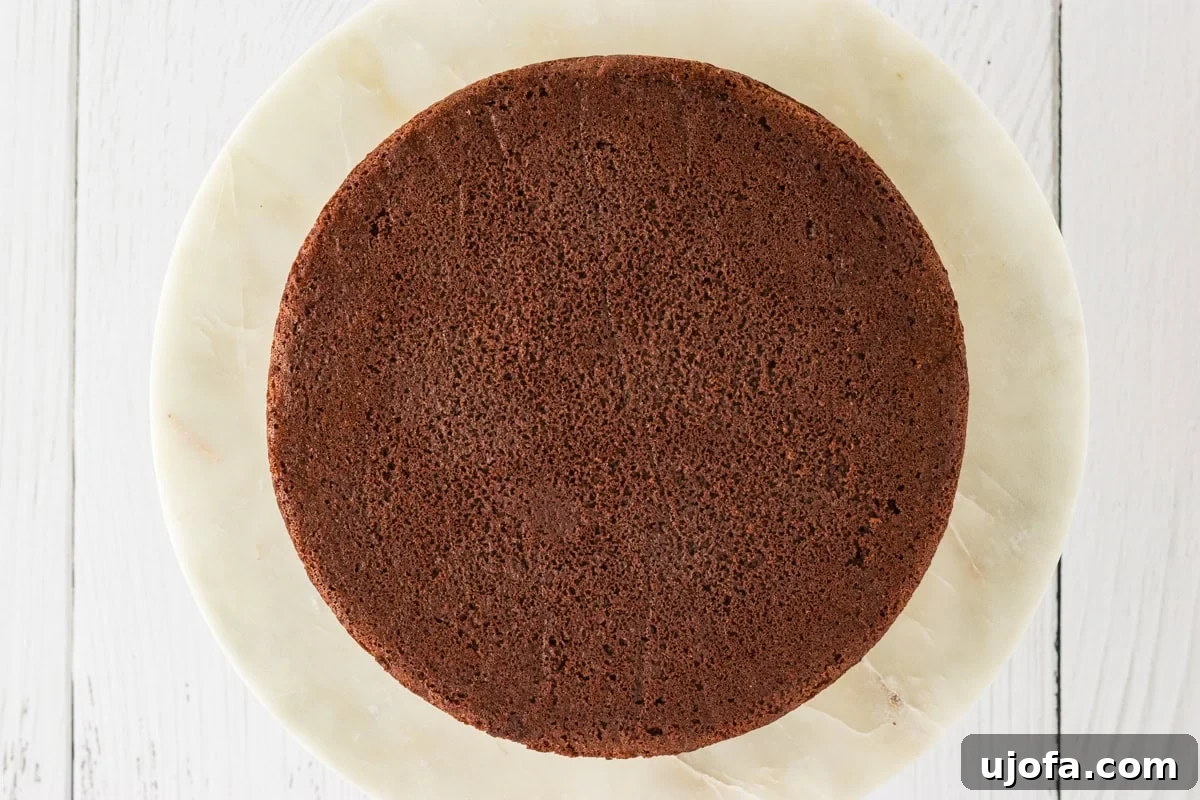 Effortless Gluten-Free Fudgy Cake 19 A single layer of gluten-free chocolate cake placed on a round marble cake stand, ready for frosting.