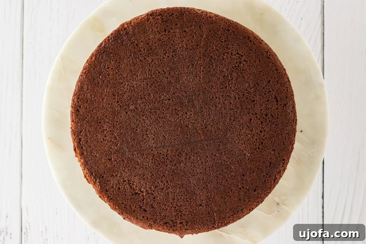 Effortless Gluten-Free Fudgy Cake 21 The second gluten-free chocolate cake layer placed on top of the frosted bottom layer, completing the cake assembly.
