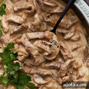 Close-up of creamy gluten-free beef stroganoff in a skillet, with tender beef strips, mushrooms, and a rich sauce, garnished with fresh parsley.